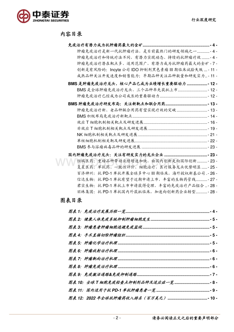 免疫治疗抗肿瘤药方向分析报告.pdf_第2页