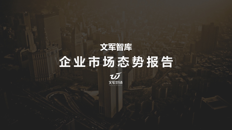 企业市场态势报告.pdf_第1页