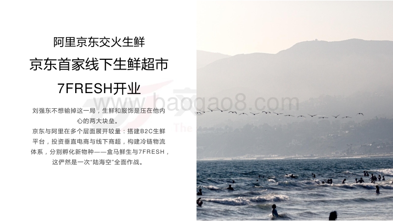 企业市场态势报告.pdf_第2页