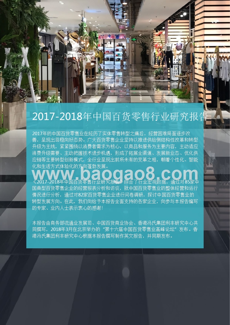2017-2018年中国百货零售行业研究报告.pptx_第2页