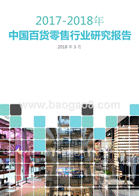 2017-2018年中国百货零售行业研究报告.pptx