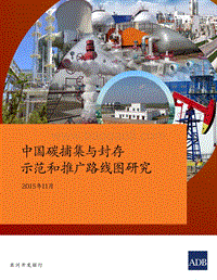 中国碳捕集与封存示范和推广路线图.pdf