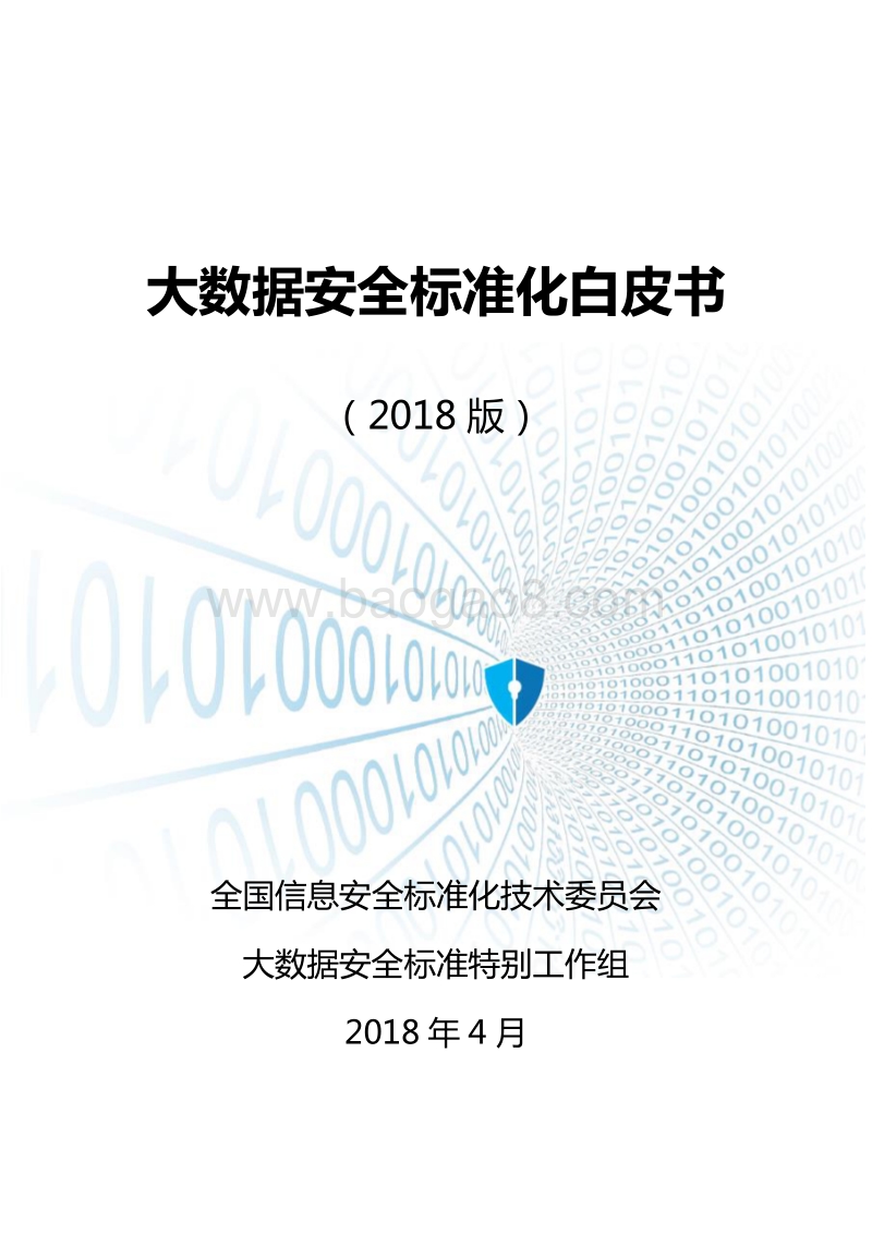 2018版大数据安全标准化白皮书.pdf_第1页