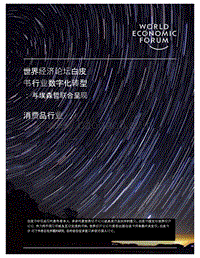 行业数字化转型：消费品行业.pdf