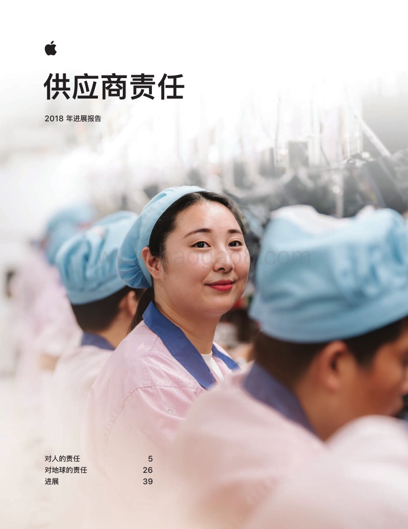 苹果供应商责任2018年进展报告.pdf_第1页