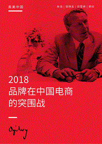 2018品牌在中国电商的突围战.pdf