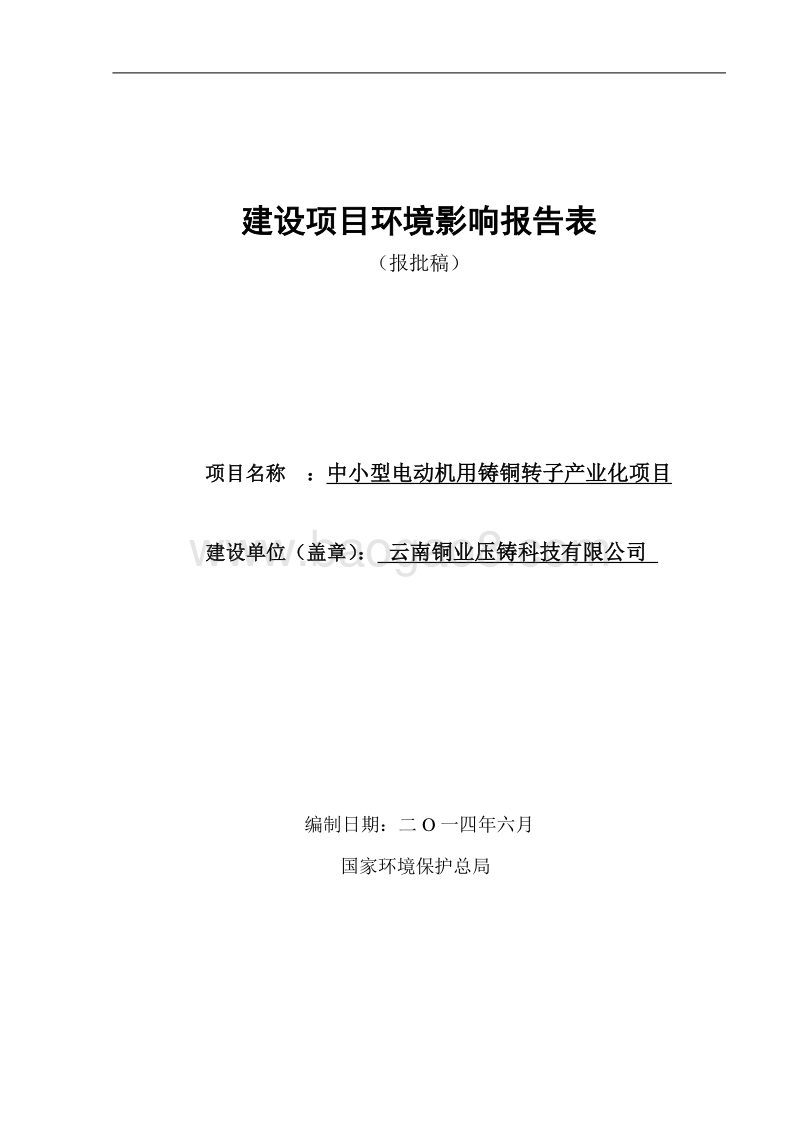 中小型电动机用铸铜转子产业化建设项目环境影响报告表全本公示.doc_第1页