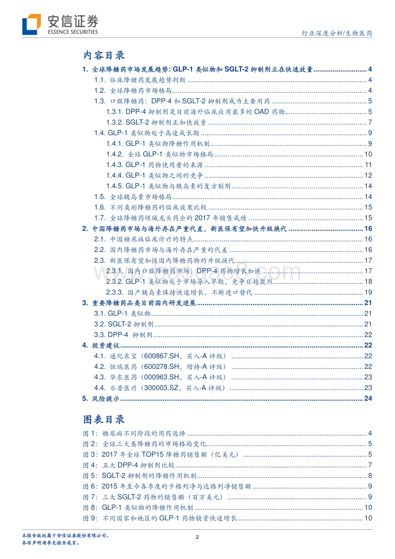 糖尿病系列报告：从国内外临床用药代差看中国降糖药市场发展趋势.pdf_第2页