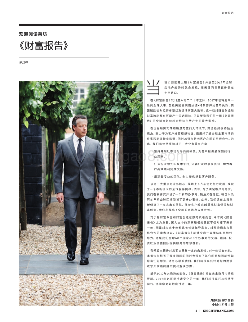 2017财富报告：全球豪宅和投资展望报告.pdf_第3页