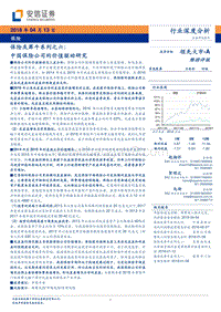 中国保险公司的价值驱动研究报告.pdf