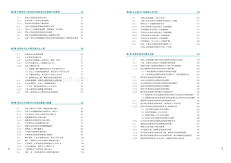 中国劳动力市场技能缺口研究.pdf_第3页