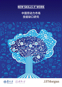 中国劳动力市场技能缺口研究.pdf