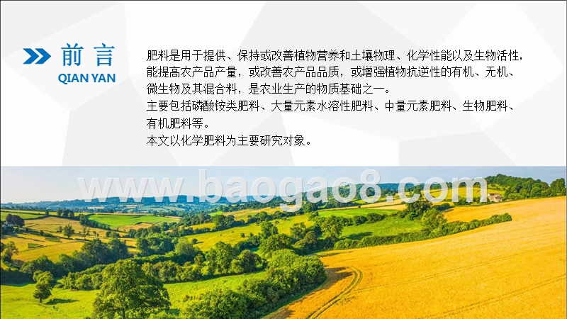 2018年肥料行业分析报告.pptx_第2页