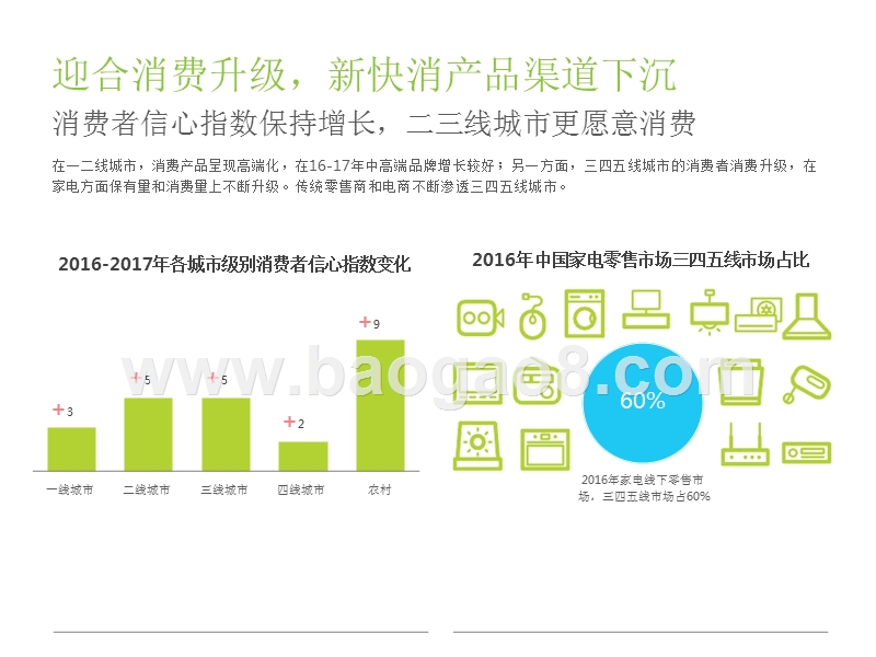 2018年中国新快消品营销洞察报告.pptx_第5页