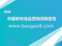 2018年中国新快消品营销洞察报告.pptx