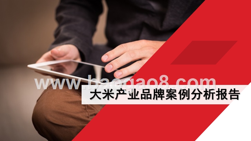 大米产业品牌案例分析报告.pptx_第1页