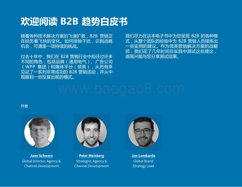 2018内容营销策略分析报告.PDF_第2页