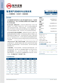 智慧燃气领域分析报告.pdf