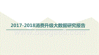 2017-2018消费升级大数据研究报告.pptx