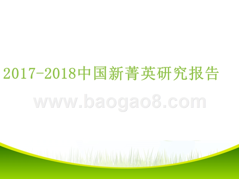2017-2018中国新菁英研究报告.pptx_第1页