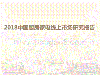 2018中国厨房家电线上市场研究报告.pptx