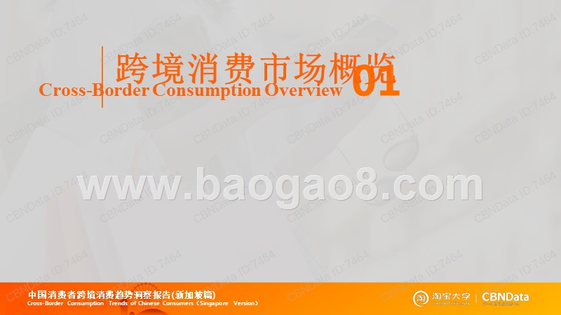 2018中国消费者跨境消费趋势洞察报告新加坡篇.pptx_第3页