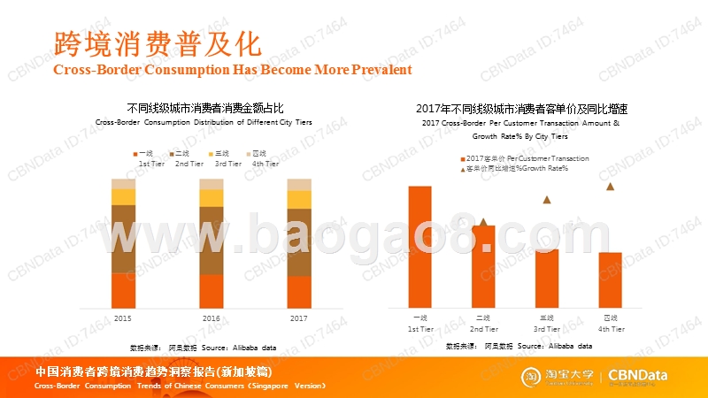 2018中国消费者跨境消费趋势洞察报告新加坡篇.pptx_第5页