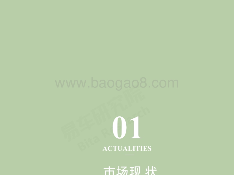 2018版中国轿车市场洞察报告.pptx_第2页
