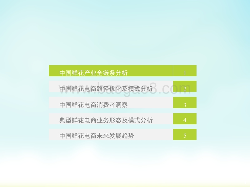 2018年中国鲜花电商行业及用户研究报告.pptx_第4页