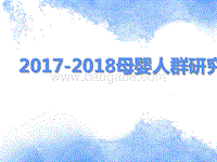 2017-2018母婴人群研究报告.pptx
