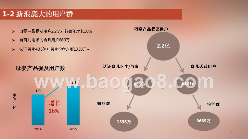 母婴消费市场研究报告.pptx_第5页