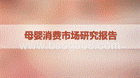 母婴消费市场研究报告.pptx