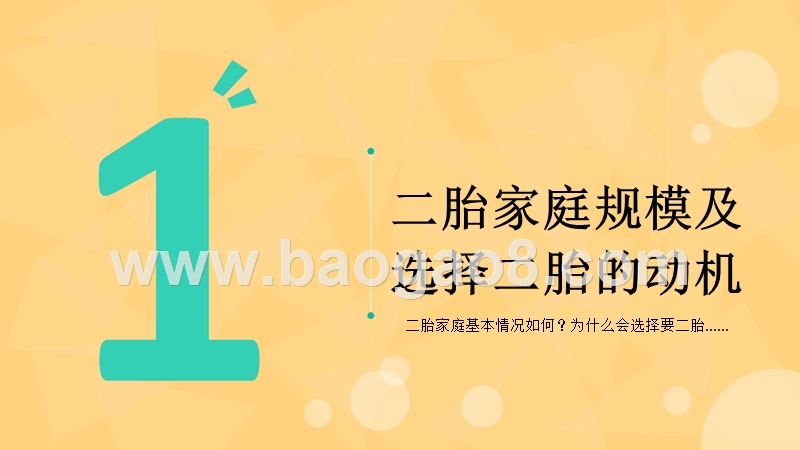 二胎时代洞察报告.pptx_第5页
