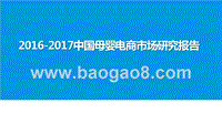 2016-2017中国母婴电商市场研究报告.pptx