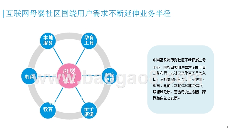 2016-2017中国互联网母婴社区市场专题研究报告.pptx_第5页