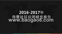 2016-2017年母婴社区应用研究报告.pptx