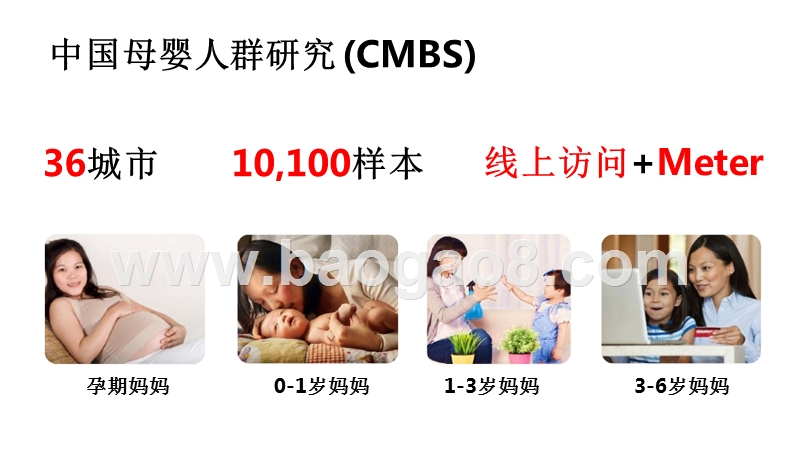 母婴人群消费特征与购物路径研究报告.pptx_第2页