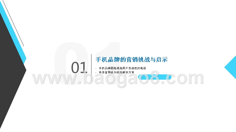 手机品牌世界杯营销研究报告.pptx_第4页