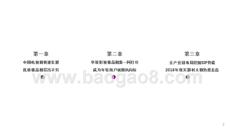 2018影视电视剧影响力分析报告.pptx_第2页
