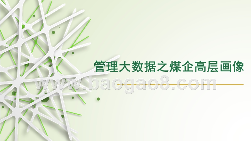 管理大数据之煤企高层画像.pptx_第1页