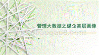 管理大数据之煤企高层画像.pptx