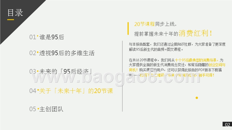 95后未来十年消费红利趋势洞察报告.pptx_第3页
