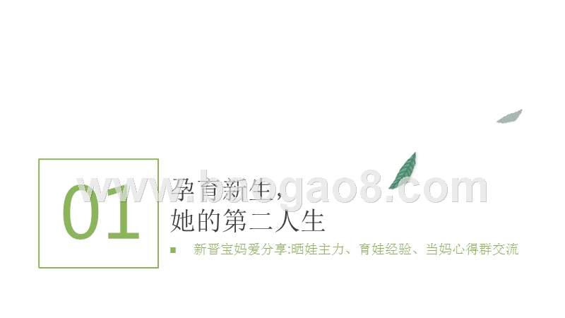 中国不同年龄阶段妈妈线上消费和行为观察分析报告.pptx_第4页