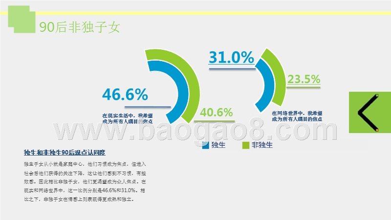 90后五大典型差异分析报告.pptx_第5页