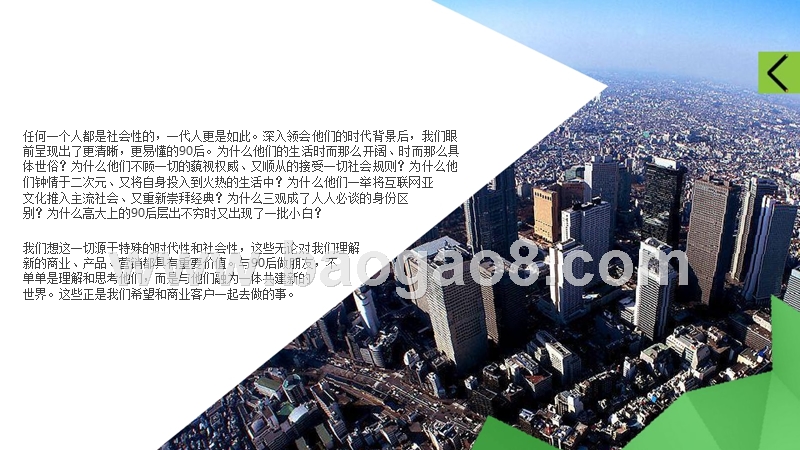 90后新现实主义与多样化分析报告.pptx_第2页