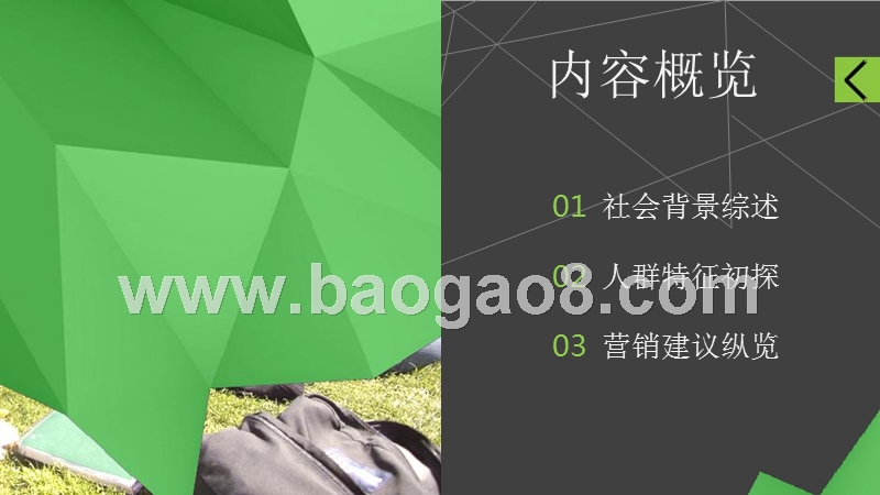 90后新现实主义与多样化分析报告.pptx_第3页