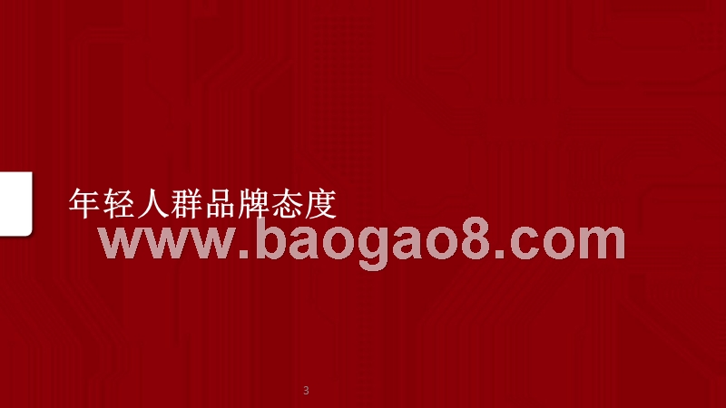 年轻人群洞察报告.pptx_第3页