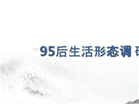 95后生活形态调研报告.pptx
