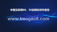 中国互联网80、90后网民研究报告.pptx