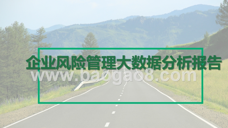 企业风险管理大数据分析报告.pptx_第1页